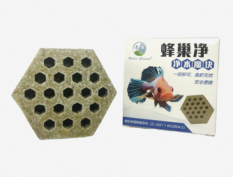 东莞菌方