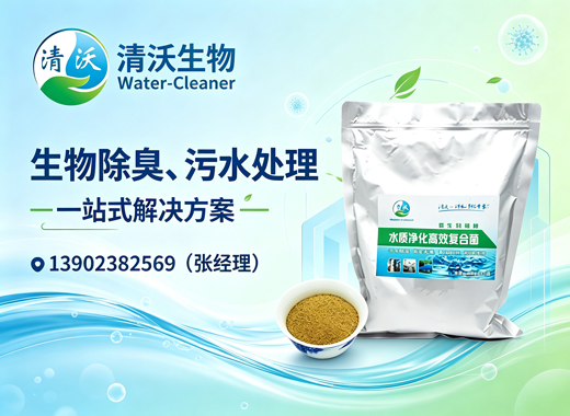 清沃生物东莞线上分站